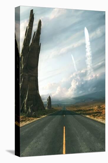 Stretched Canvas Print, , large