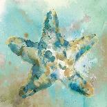 Blue Jay-Stephane Fontaine-Framed Giclee Print