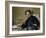 Stéphane Mallarmé by ‰Douard Manet-Édouard Manet-Framed Giclee Print