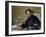 Stéphane Mallarmé by ‰Douard Manet-Édouard Manet-Framed Giclee Print