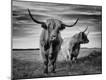 Premium Photographic Print