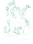 Horse Head-Stephanie Analah-Giclee Print