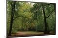 Photographic Print