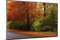 Photographic Print