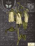 Vintage Botanical - Campanula-Stephanie Monahan-Giclee Print