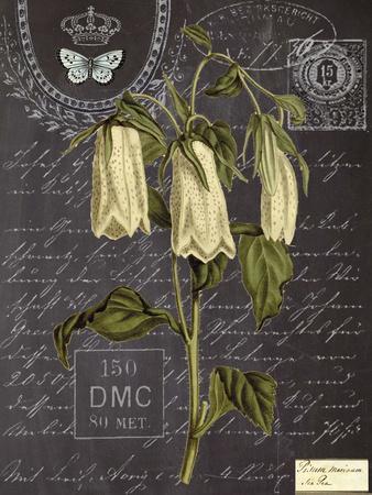 Vintage Botanical Prints: Illustrations, Posters Art & Wall