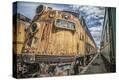 Stretched Canvas Print