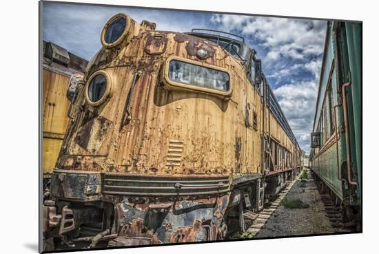 Photographic Print, , large