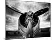 Photographic Print