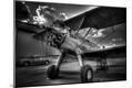 Photographic Print