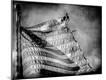 Premium Photographic Print