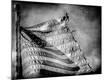 Premium Photographic Print