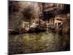 Premium Photographic Print