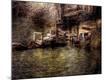 Photographic Print