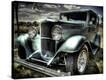 Stretched Canvas Print