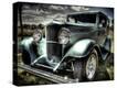 Stretched Canvas Print