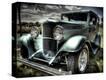 Stretched Canvas Print