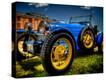Stretched Canvas Print