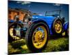 Premium Photographic Print