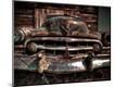 Photographic Print