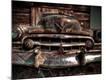 Premium Photographic Print