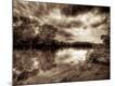 Premium Photographic Print