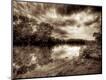 Photographic Print