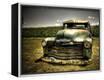 Framed Canvas Print