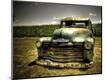 Photographic Print