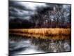 Photographic Print