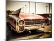 Photographic Print
