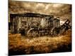 Premium Photographic Print