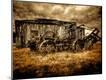 Photographic Print