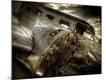 Premium Photographic Print