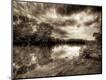 Photographic Print
