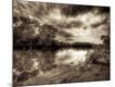 Photographic Print