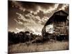 Photographic Print