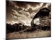 Premium Photographic Print
