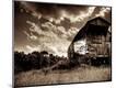 Photographic Print