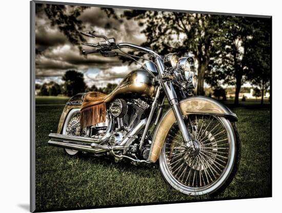 Photographic Print, , large