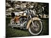 Premium Photographic Print