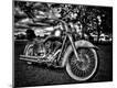 Photographic Print
