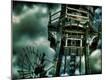 Photographic Print
