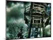 Photographic Print