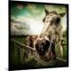 Premium Photographic Print