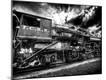 Photographic Print