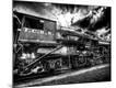 Photographic Print
