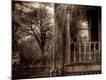 Photographic Print