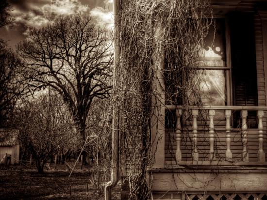 Photographic Print, , large