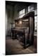 Photographic Print